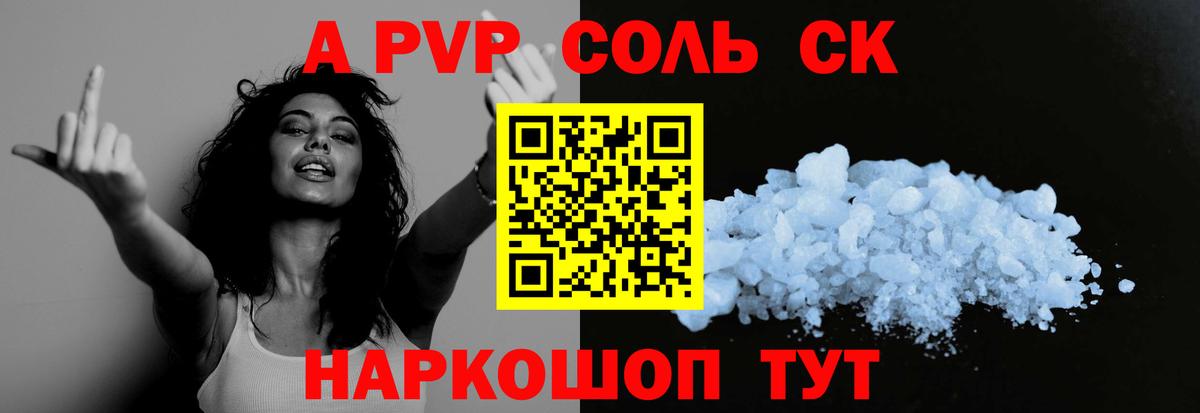 A PVP СК Щёкино