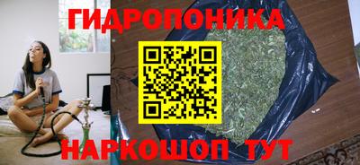 Альфа ПВП Лесосибирск