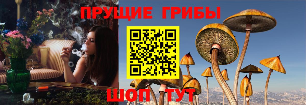 Галлюциногенные грибы прущие грибы Щёкино