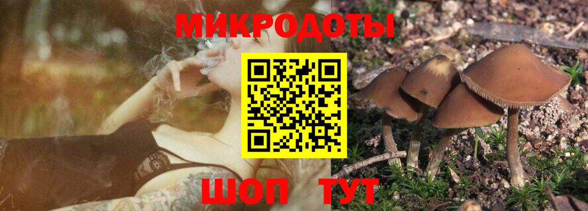 Псилоцибиновые грибы ЛСД  Галлюциногенные грибы мухоморы  Щёкино  Вход с VPN 