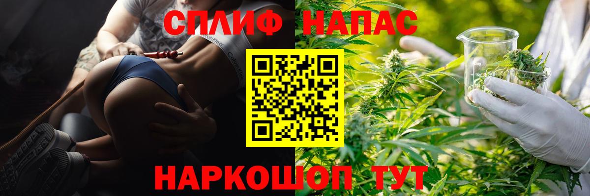 Конопля план Щёкино